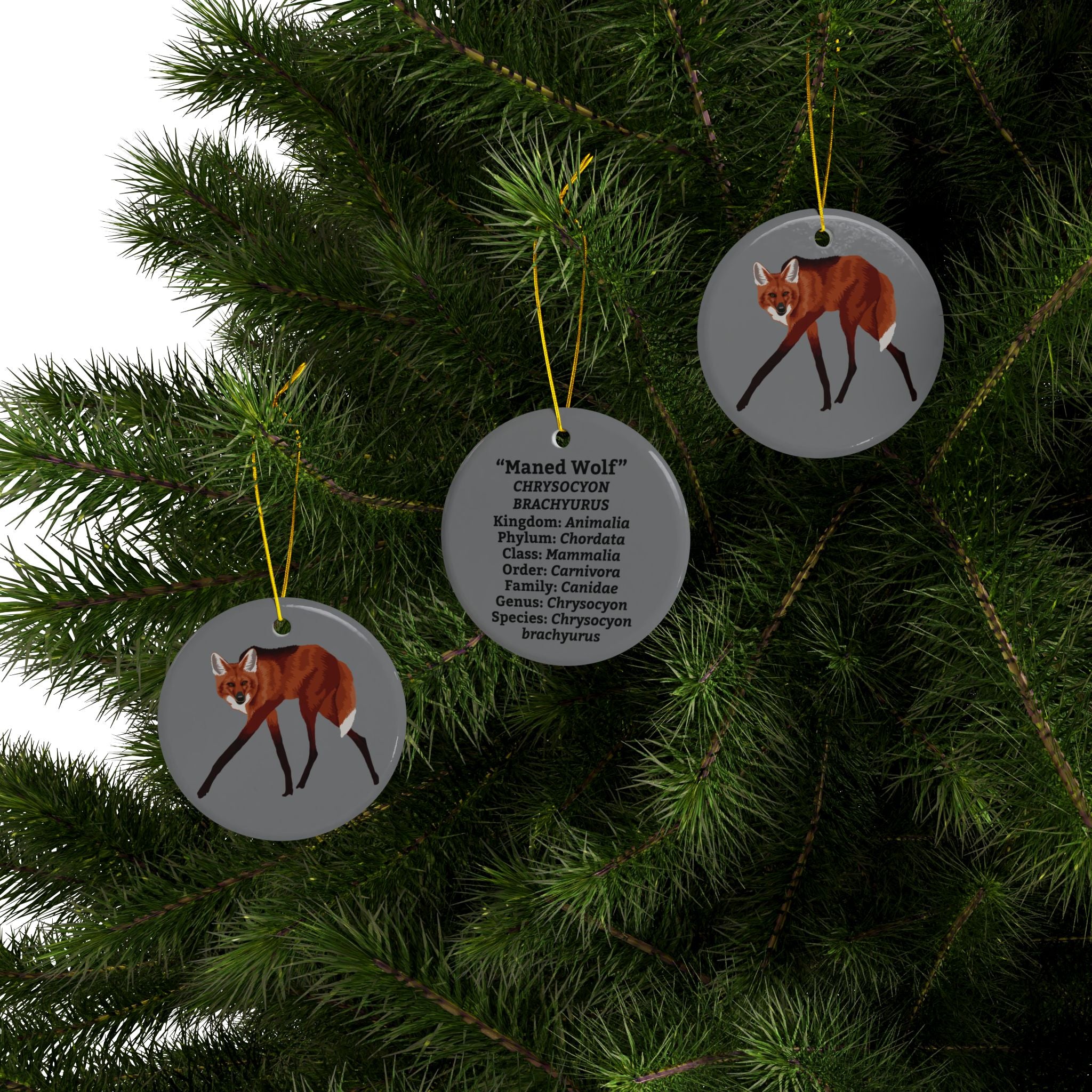 Ceramic Maned Wolf Ornament — Double-Sided Scientific Name Holiday Decor