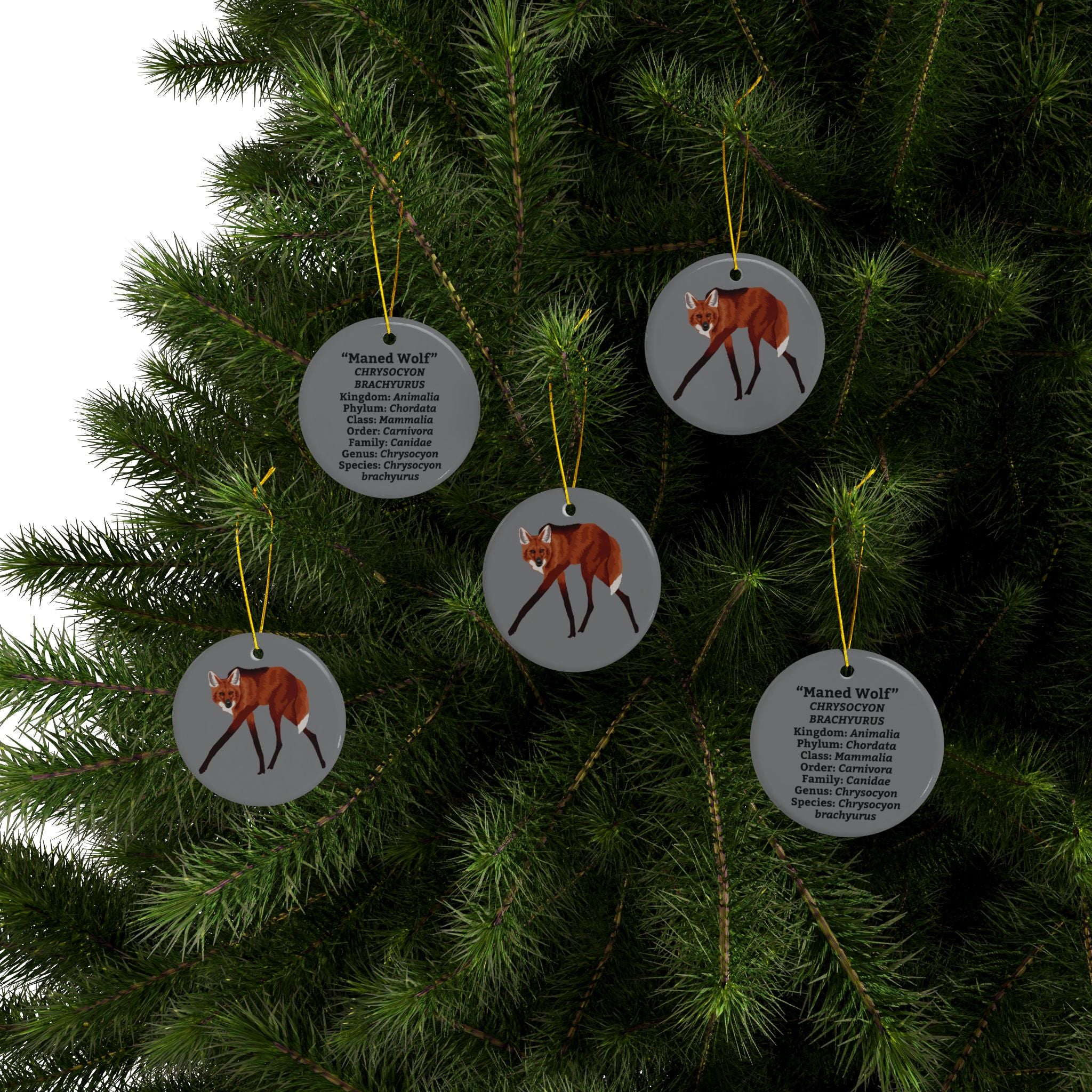 Ceramic Maned Wolf Ornament — Double-Sided Scientific Name Holiday Decor